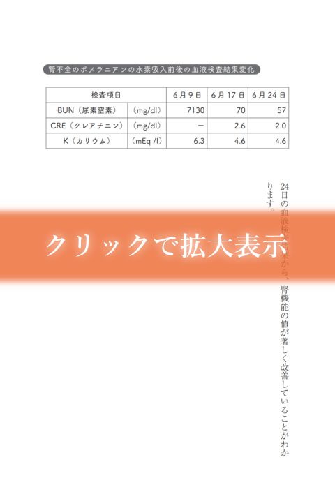 水素吸入前後の血液検査結果