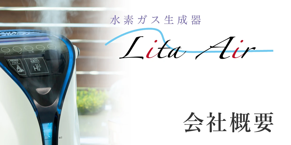 リタハートインターナショナル株式会社 正規レンタル取次店の会社概要