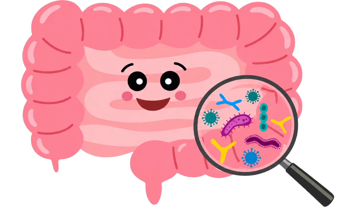 腸内フローラをイメージしたキャラクターイラスト
